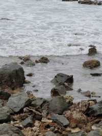 西島慢旅:讓時光隨浪輕淌
在西島,時間是奔湧的浪,人是灘上的沙。潮漲時捲走一身焦慮,潮退時留下滿