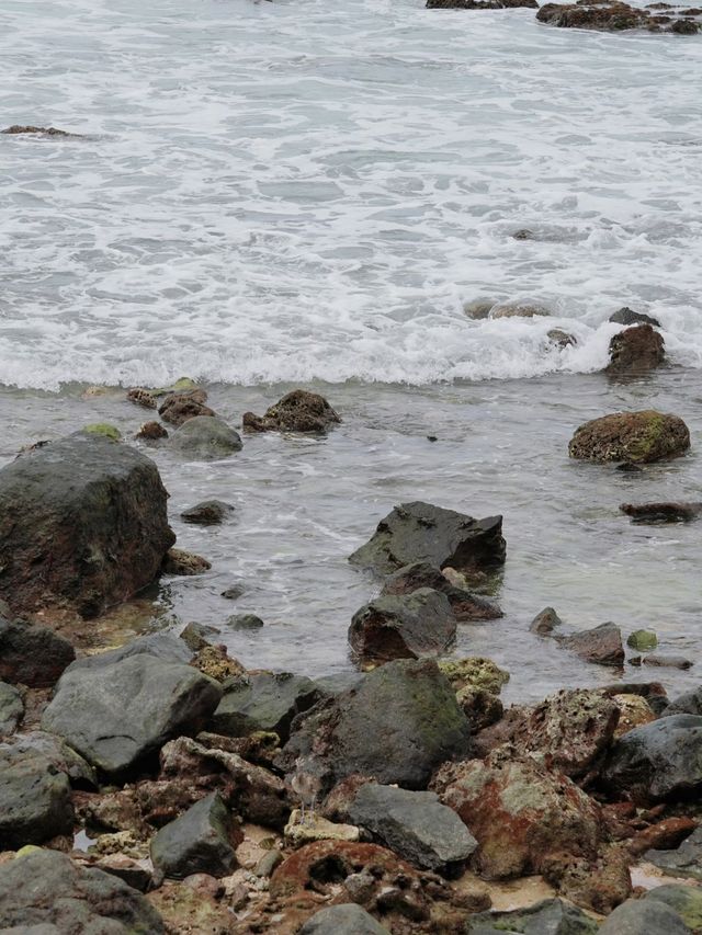 西島慢旅:讓時光隨浪輕淌
在西島,時間是奔湧的浪,人是灘上的沙。潮漲時捲走一身焦慮,潮退時留下滿 西島慢旅:讓時光隨浪輕淌
在西島,時間是奔湧的浪,人是灘上的沙。潮漲時捲走一身焦慮,潮退時留下滿