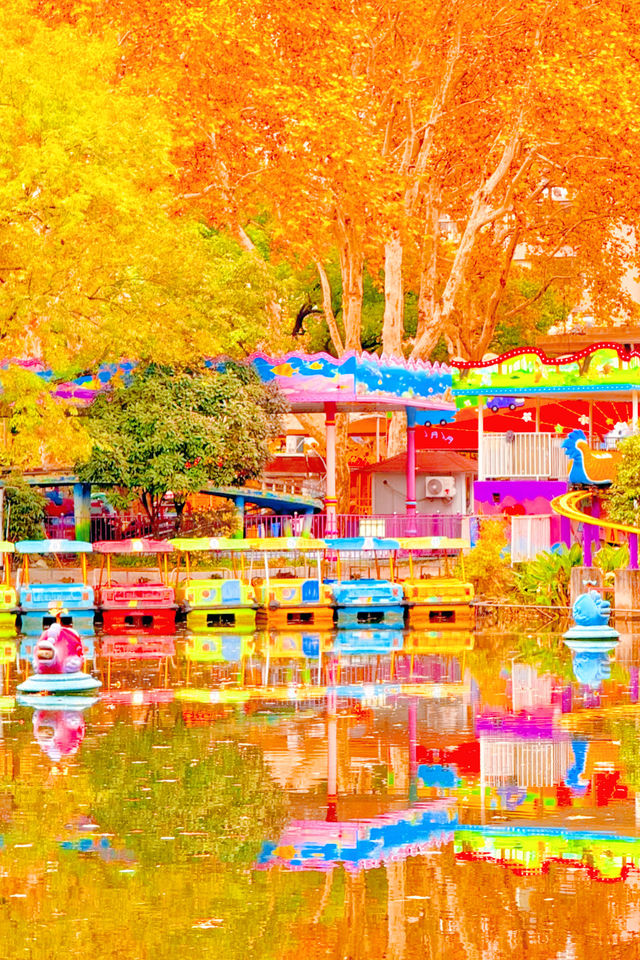 殺瘋了上海紅楓紅透了必是秋日頂流