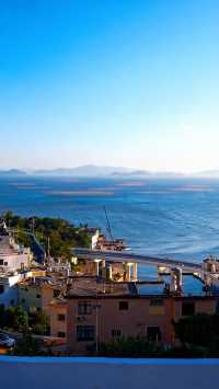 人回來了，心還在霞浦