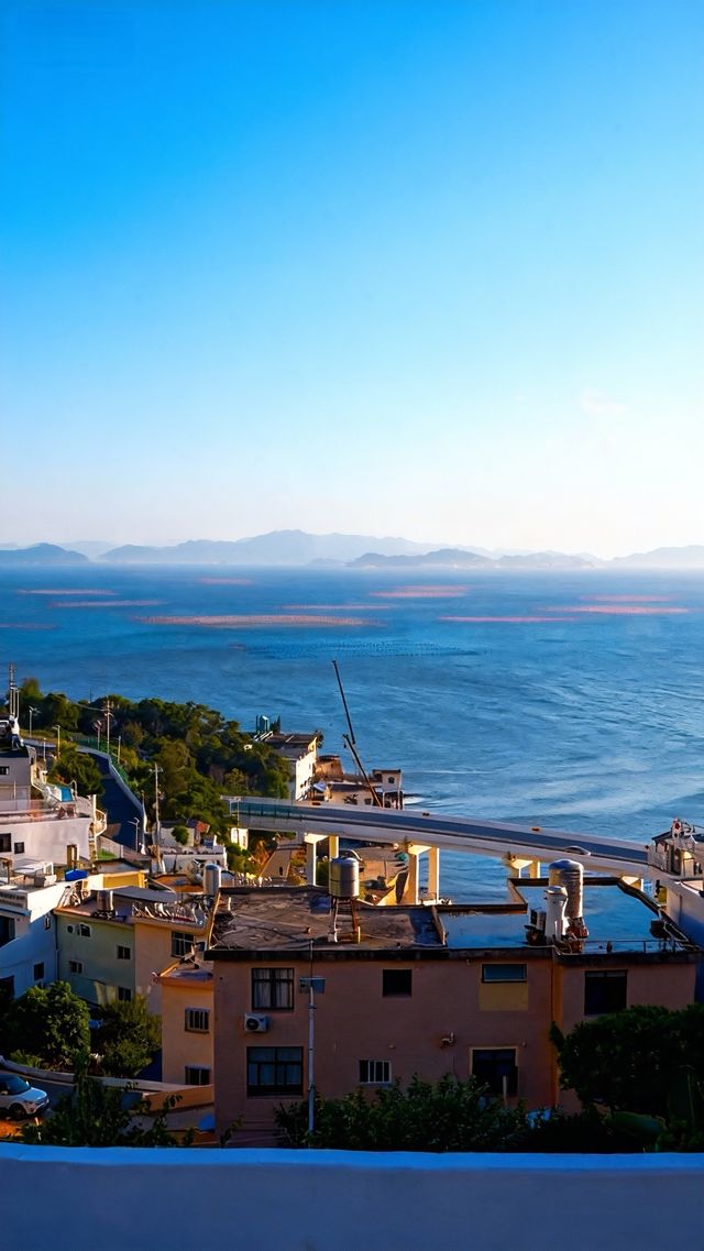 人回來了，心還在霞浦