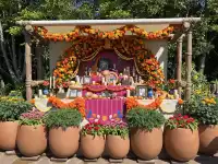 東迪海洋太夢幻啦!(附14個項目攻略