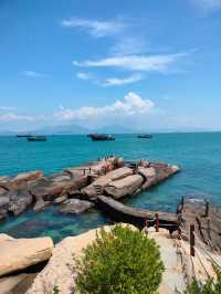 伶仃洋慢遊攻略