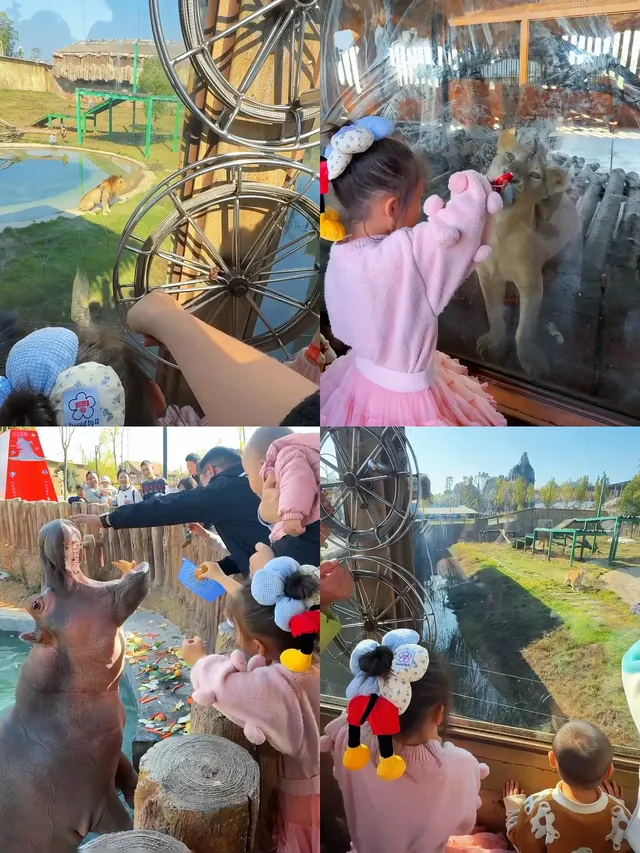 南昌周邊遊|遛娃天花板唯美動物世界 南昌周邊遊|遛娃天花板唯美動物世界