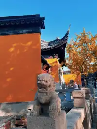 蘇州私藏小西天0元逛千年明月古寺｜避世禪