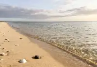 除了三亞的海灘還有哪些海灘值得打卡呢