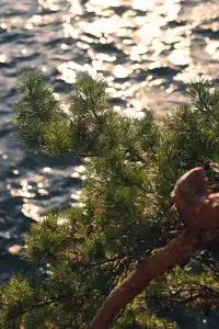 金色科莫湖|每一幀都是電影