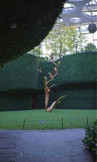 綠野仙蹤般治癒之旅