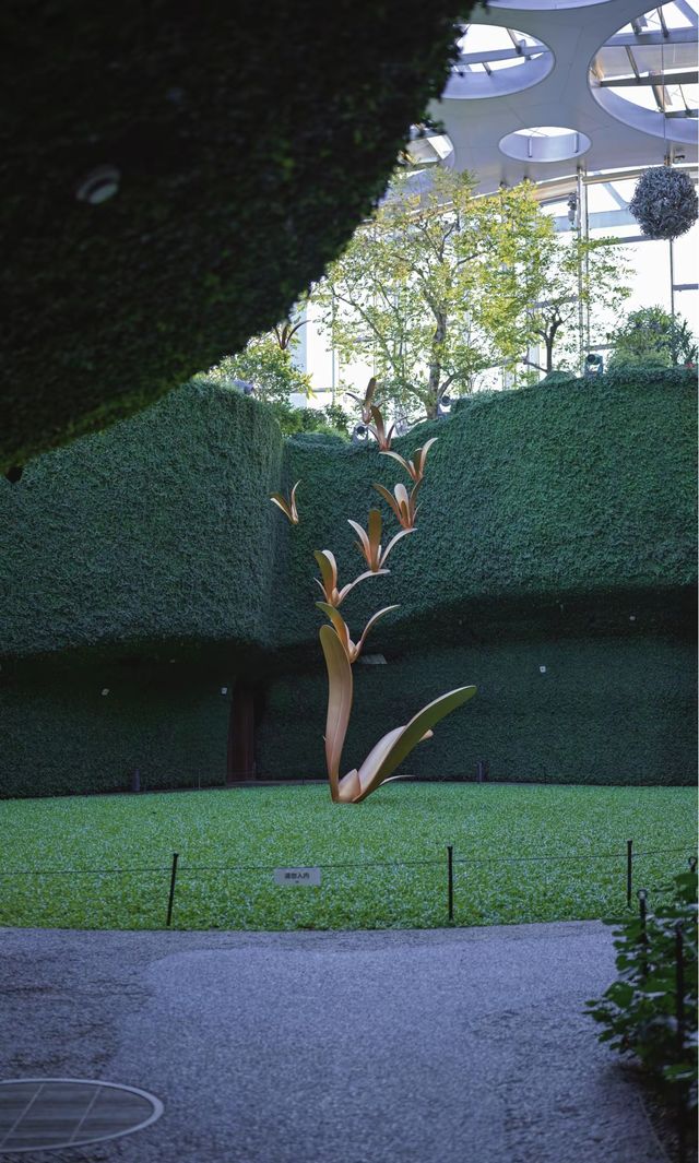 綠野仙蹤般治癒之旅