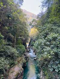 貴州貴陽紫江地縫闖入貴州「地心之門」