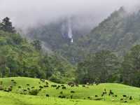 私享路線3-新西蘭北島人不多