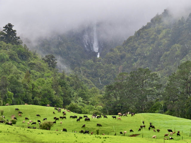 私享路線3-新西蘭北島人不多