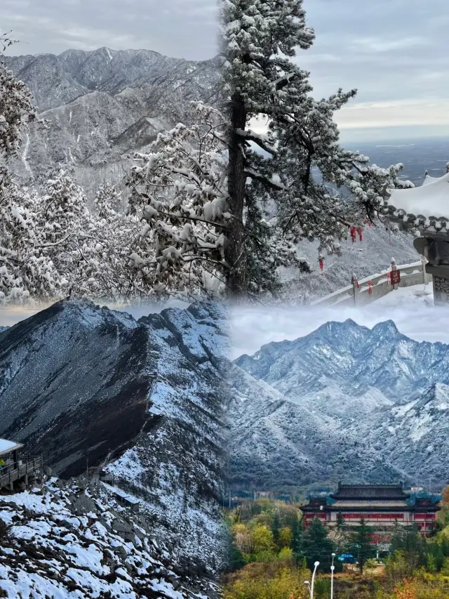 The Qinling Mountains in Xi’an are legendary in December|Enter the icy secret realm, so beautiful you won’t want to leave the mountain