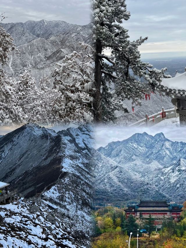 西安秦嶺12月封神|闖入冰雪秘境,美到不想下山 西安秦嶺12月封神|闖入冰雪秘境,美到不想下山