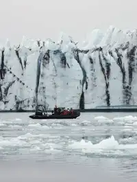 冰島冰河湖遇見海豹|是冬天zui溫柔的驚喜