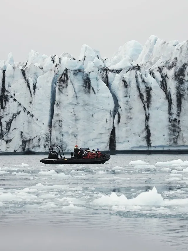 冰島冰河湖遇見海豹|是冬天zui溫柔的驚喜 冰島冰河湖遇見海豹|是冬天zui溫柔的驚喜
