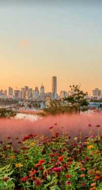 青島熱門的濱海休閒之地——小麥島公園