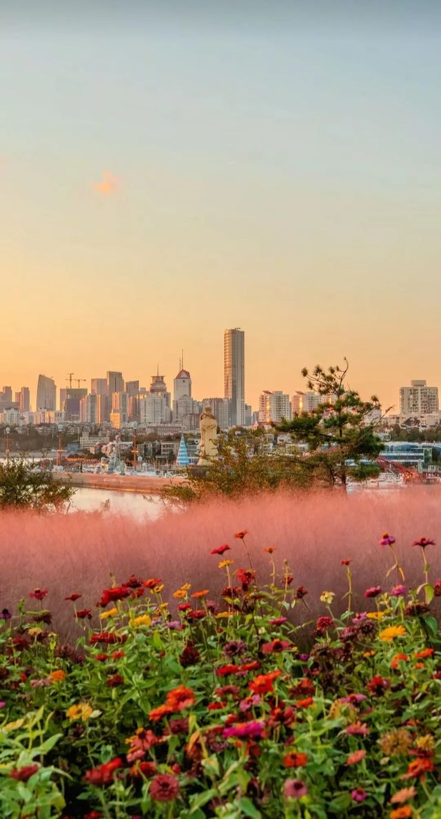青島熱門的濱海休閒之地——小麥島公園