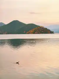 我在瀘沽湖收集了一整個日落劇場的浪漫