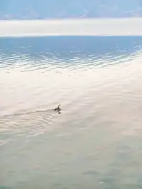 我在瀘沽湖收集了一整個日落劇場的浪漫