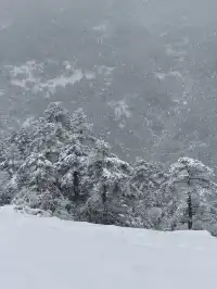 神農架冬日童話|闖入南國最純淨的雪國