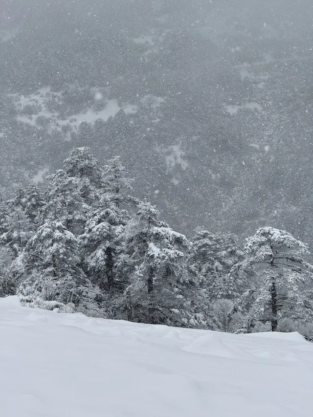 神農架冬日童話|闖入南國最純淨的雪國 神農架冬日童話|闖入南國最純淨的雪國