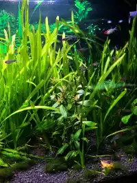 長風海洋公園遛娃記 | 海底奇幻之旅