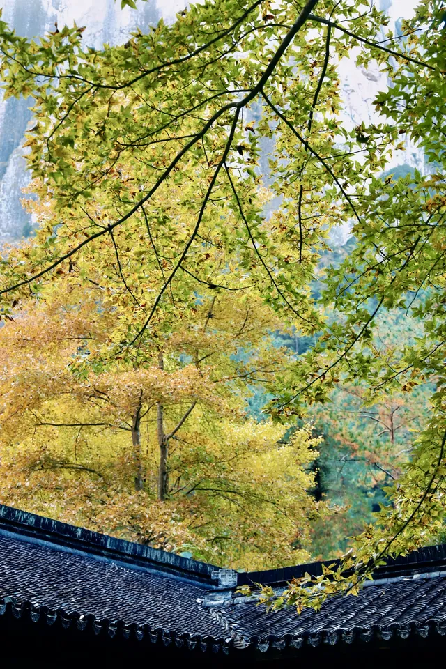 剛從神仙居回來,說點真實感受… 剛從神仙居回來,說點真實感受…