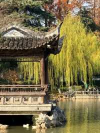 超全南京愚園冬日攻略！小眾玩法+拍照機位大公開