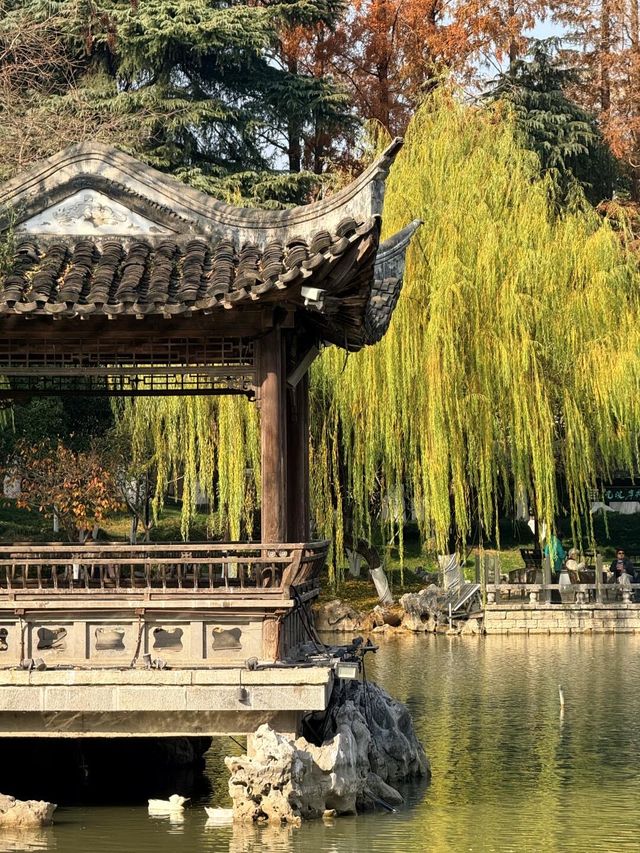 超全南京愚園冬日攻略！小眾玩法+拍照機位大公開