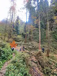 成都霧霾天的救命徒步!蒲虹路6公里,拿捏!