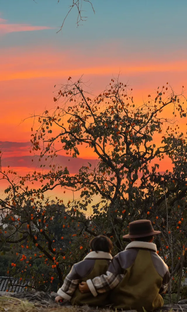 溫州市區1h達這個免費古村,柿子正紅透 溫州市區1h達這個免費古村,柿子正紅透