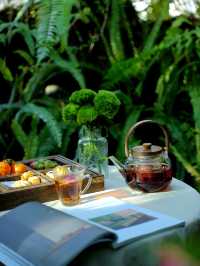 每個冬天都想去的,除了大理,還有…