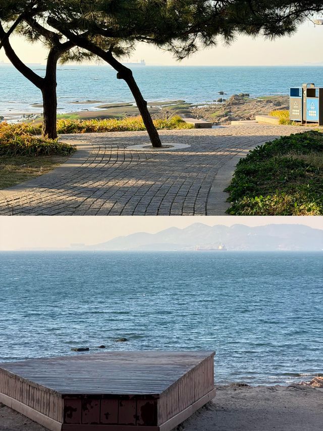 冬日青島Seawalk天花板!這條路線讓你承包整片克萊因藍 冬日青島Seawalk天花板!這條路線讓你承包整片克萊因藍