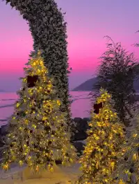 預計會是珠海下一個爆火打卡點