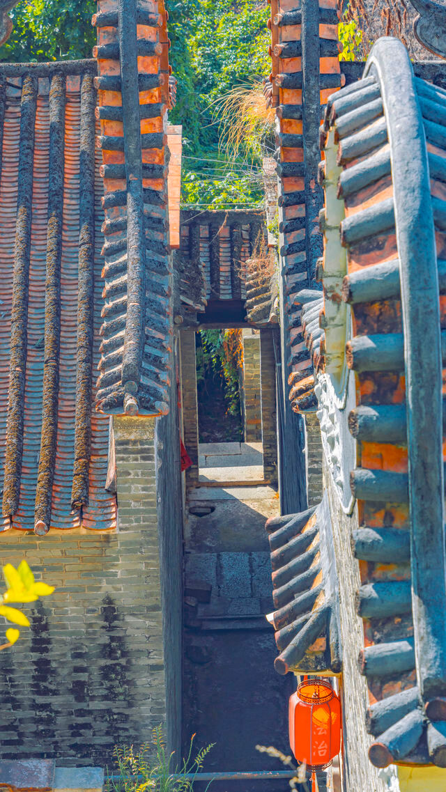 佛山三水長岐古村拍照,這裡的煙火氣和日落氛圍絕美 佛山三水長岐古村拍照,這裡的煙火氣和日落氛圍絕美