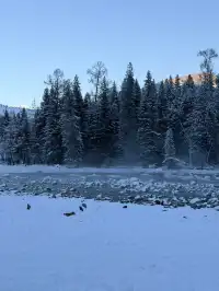 美的不真實地貌