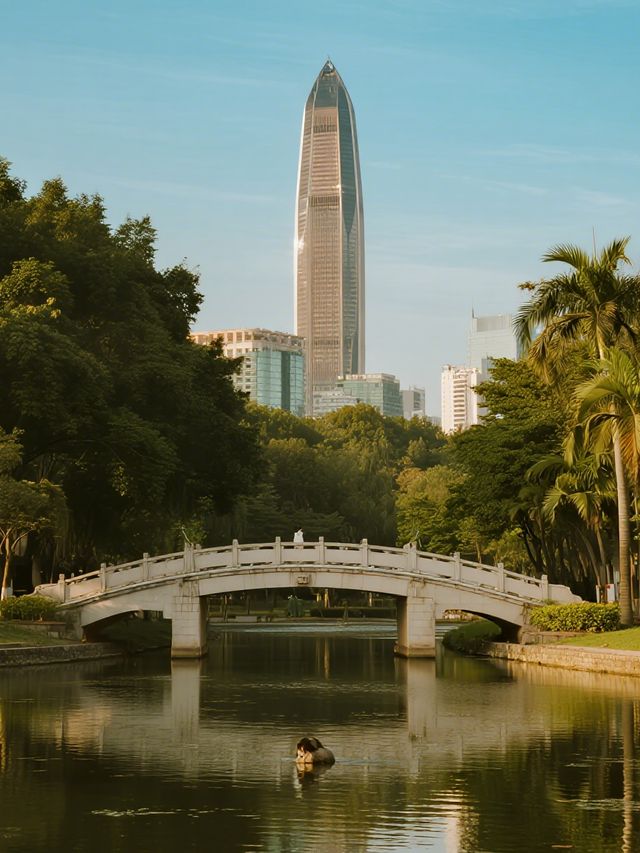 冬日暖陽下的城市綠洲|藏在市中心的遛娃寶藏地 冬日暖陽下的城市綠洲|藏在市中心的遛娃寶藏地