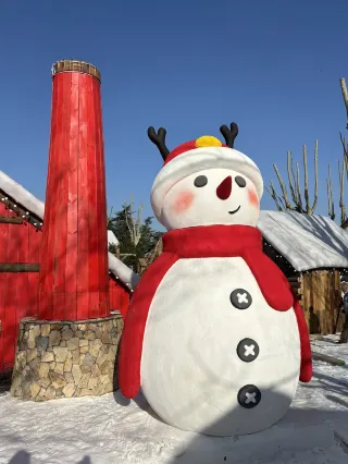 I took a photo with the Wolf King of Inner Mongolia at Xuzhou Snow Town