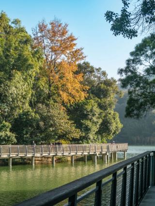 【広州・黄坡洞貯水池】 #紅葉 #フリーフォトグラフィー #白雲山ハイキング #水路 --- 住所：白雲