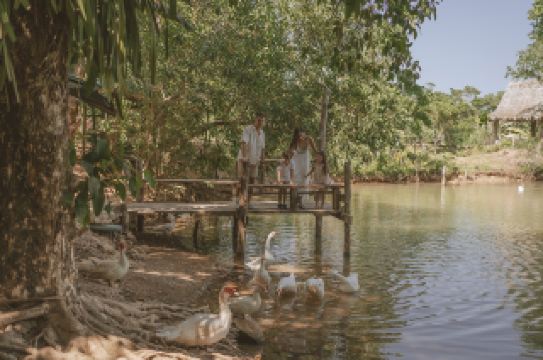 Phuket's new wellness landmark