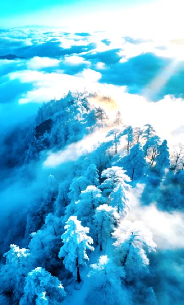 筆墨が名城を描く