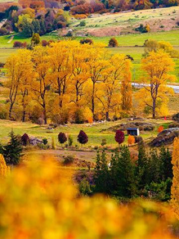 Visa-free from Australia to New Zealand! 5-Day Pure Leisure Small Group Tour of the South Island