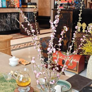 New Spring Tea Release: Brew Spring into a Cup of Tea