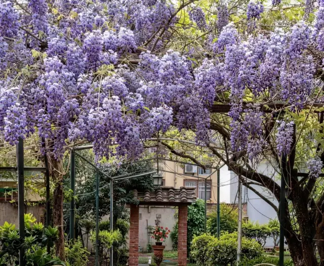 โรงแรมฟลอเรนซ์