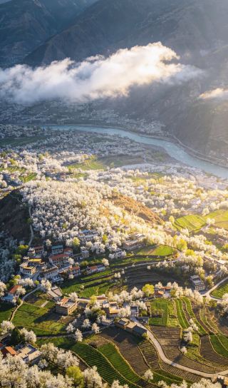 李白の詩にある「千の木、万の木の梨の花が咲く」は、実は四川省の金川にあります