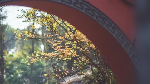 Explore the Millennium-Old Baoguang Temple — traveler post in Ebian