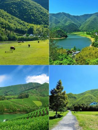 7月に子どもを連れて避暑、混雑する場所は避けよう！この5か所は爽やか