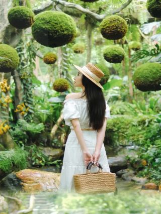 南寧市區藏著的綠野仙蹤秘境??藤蔓垂落美到