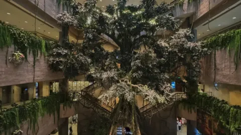 上海博物館｜世界樹之巔·美洲文明大展完整攻略 — traveler post in 坎佩切州